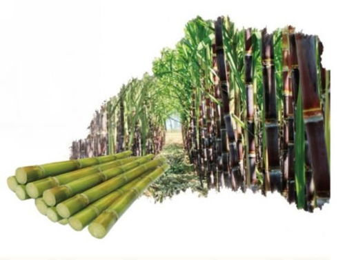 環保新材料與新技術黑科技開拓新市場